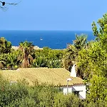Orchidee - Coves Noves *