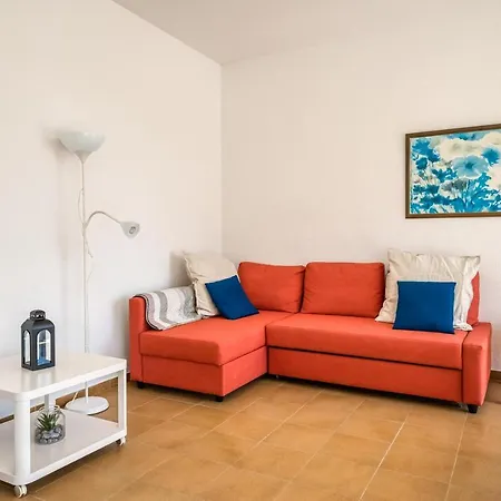 Orchidee - Coves Noves Punta Grossa