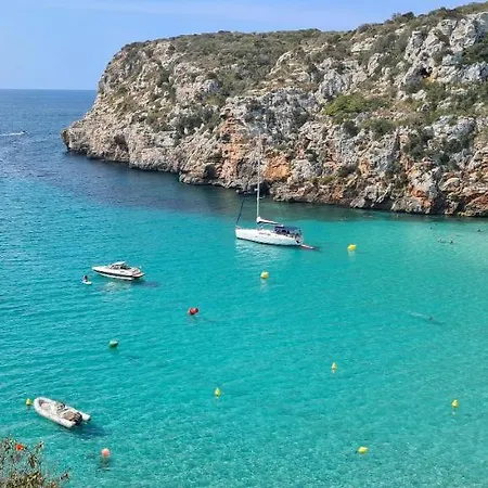 Orchidée - Coves Noves *