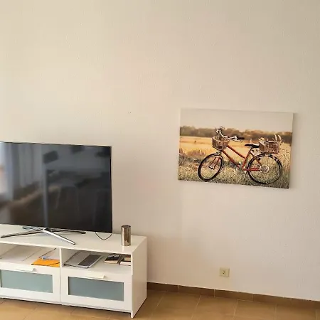 Orchidee - Coves Noves Punta Grossa