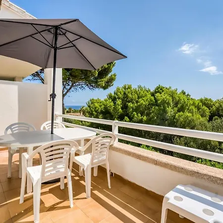 Orchidée - Coves Noves *