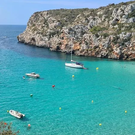 Orchidée - Coves Noves *