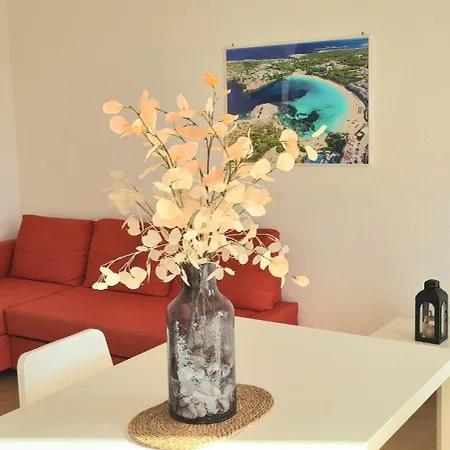 Orchidée - Coves Noves *